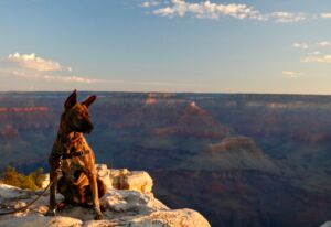El Portal Sedona Hotel - Pet Friendly Grand Canyon