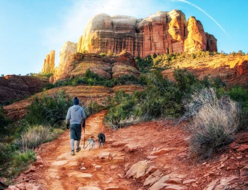 Pet Friendly Walks and Hikes at Your Favorite Pet Friendly Hotel
