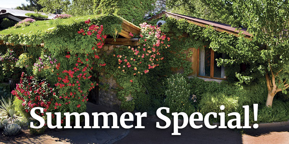 Summer-Special-2023