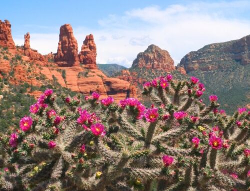 Sedona is a Springtime Oasis for Outdoor Enthusiasts—Start Planning Your Visit Now!