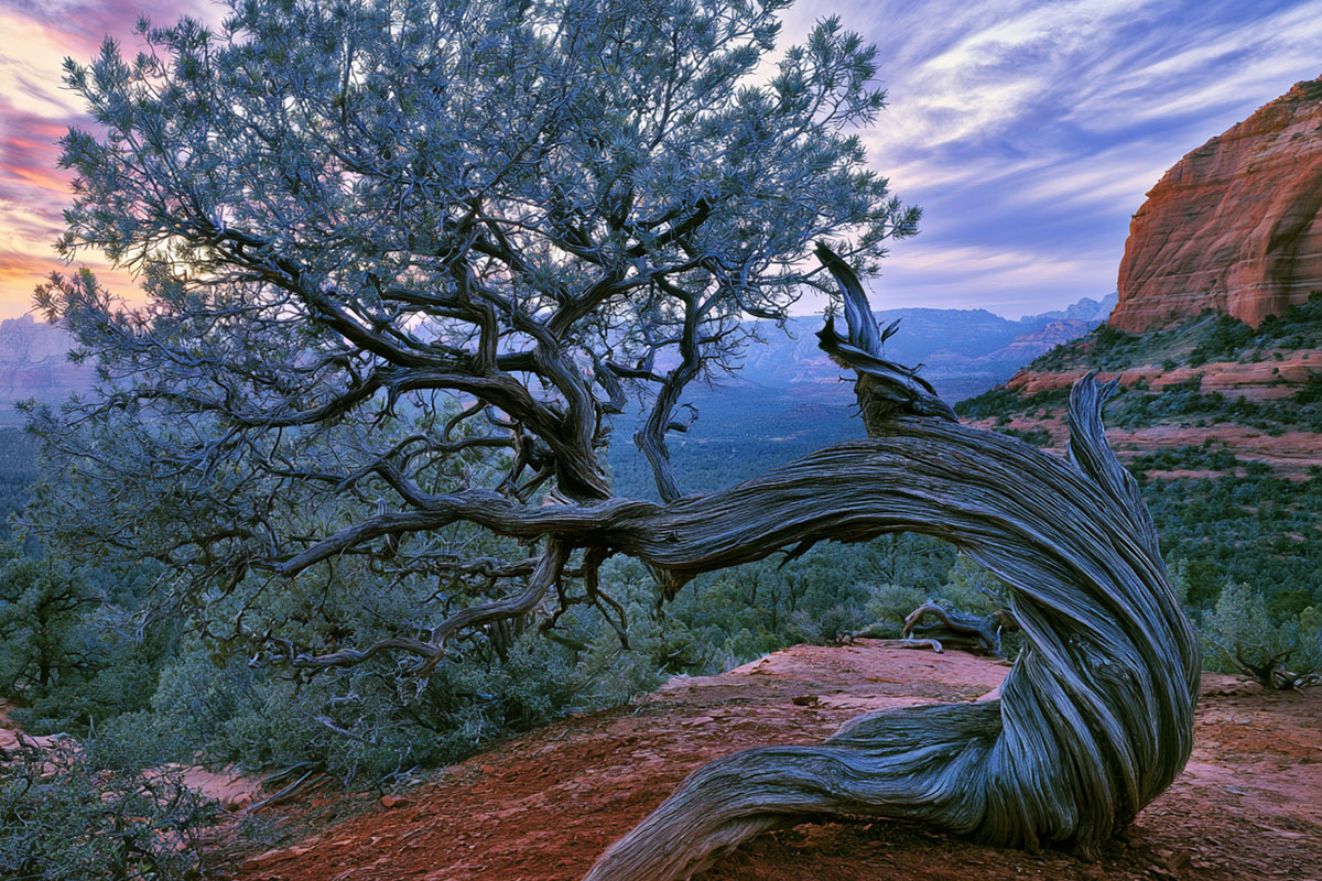 sedona-vortex